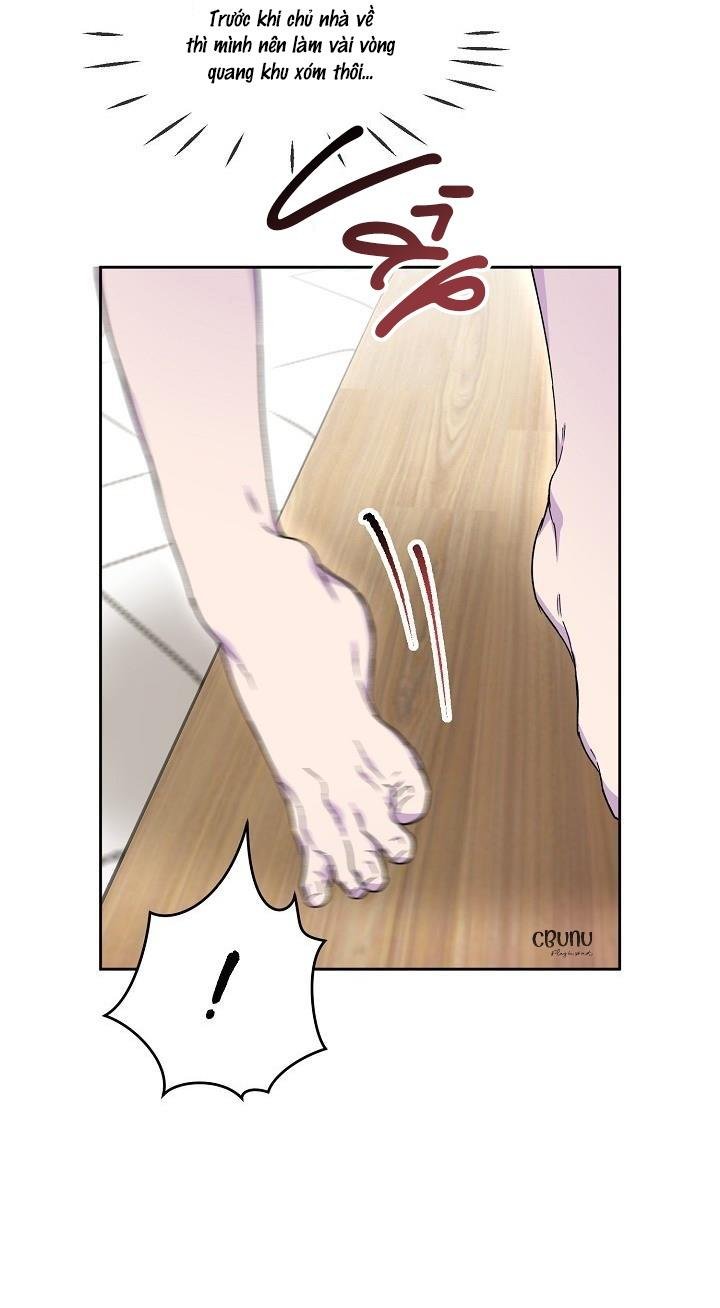 |drop| nụ hôn chết chóc chapter 18 98
