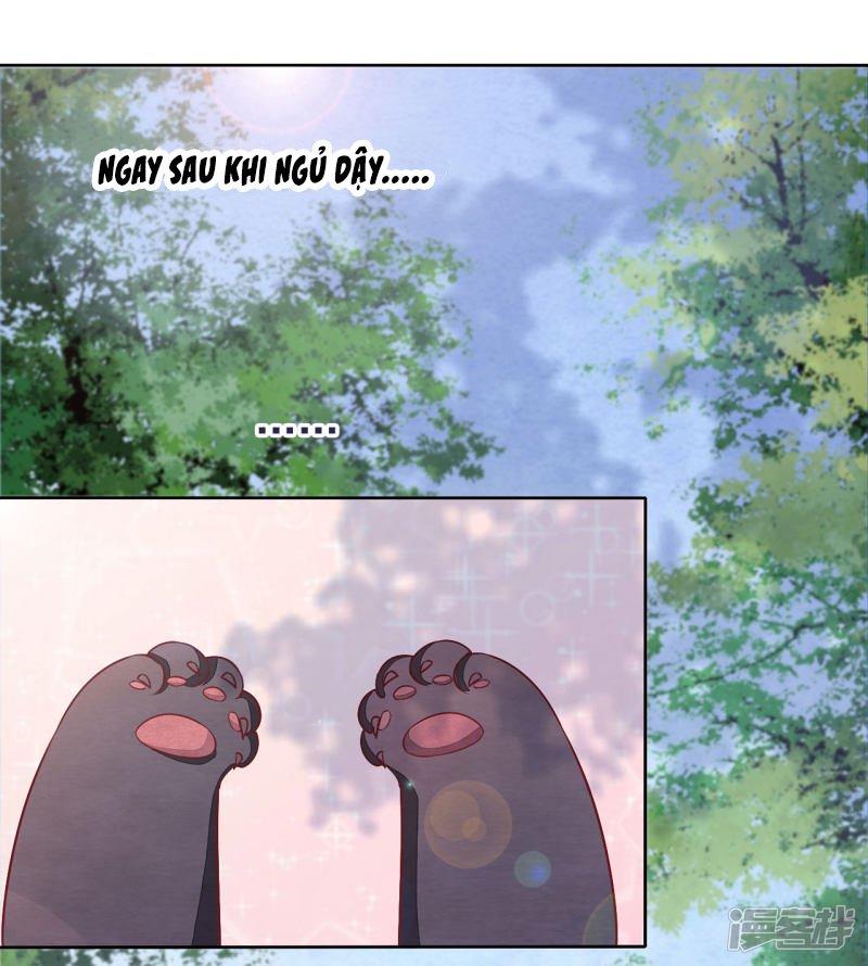 xuyên về cổ đại làm quốc bảo chapter 0 13