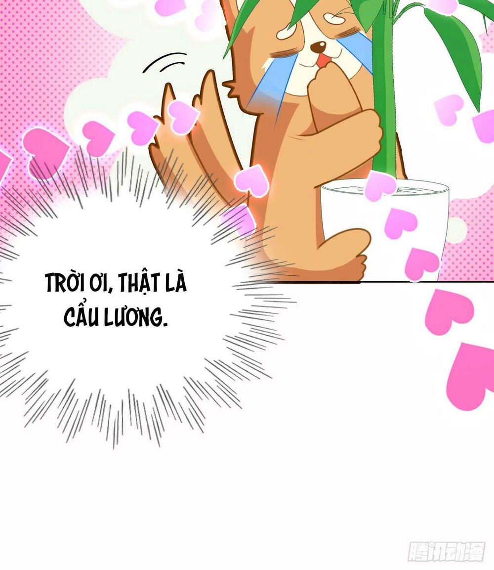 dĩ hôn chi danh chapter 16.1 15