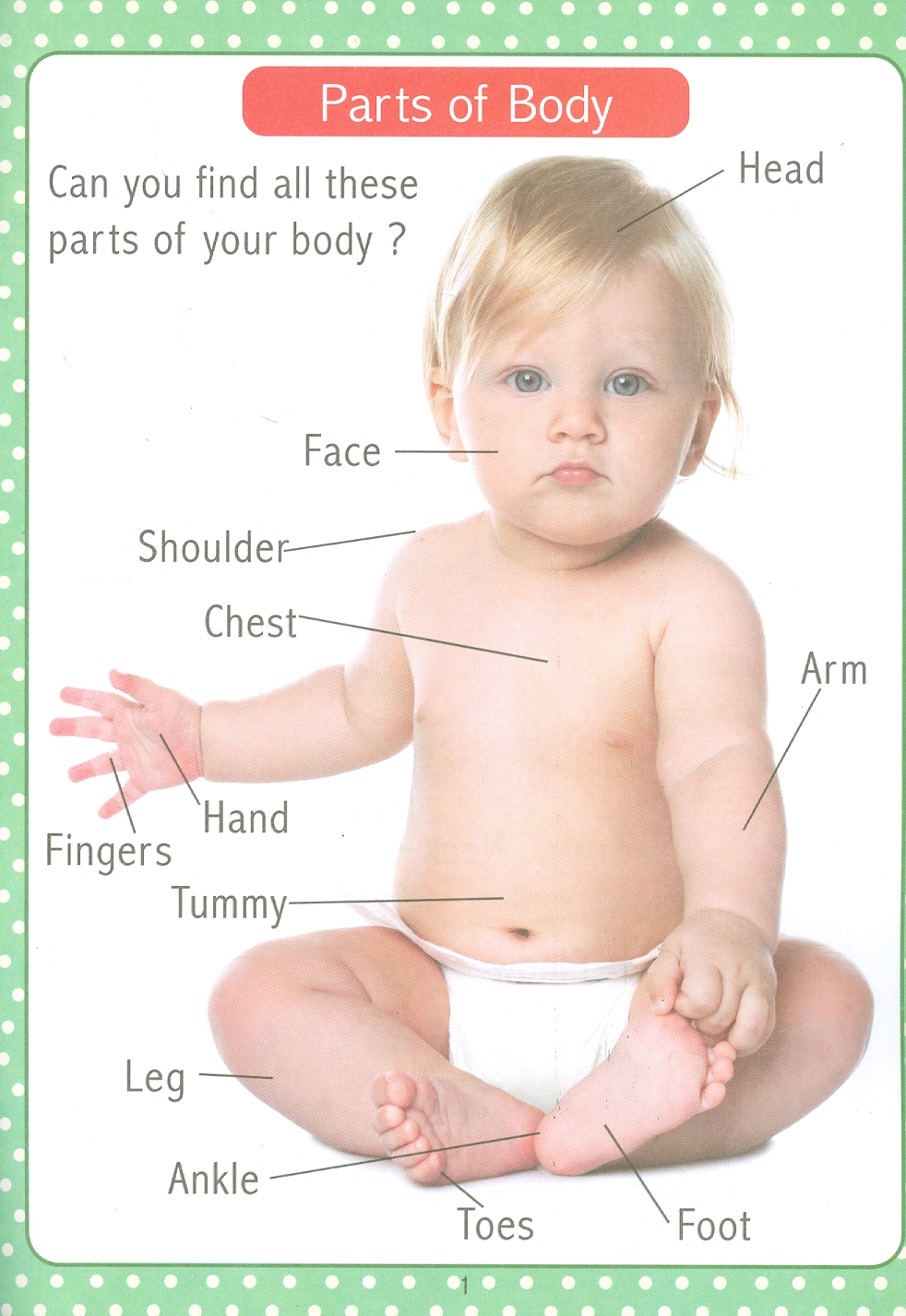 My First Early Learning - Parts Of Body Book (Bài học đầu tiên của tôi - Sách về cơ thể người)