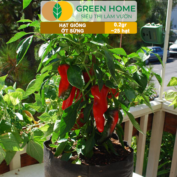 Hạt Giống Ớt Sừng Greenhome, Gói 0,2g~25 hạt, Dễ Trồng Quanh Năm,Thu Hoạch Nhanh, Năng Suất Cao G15