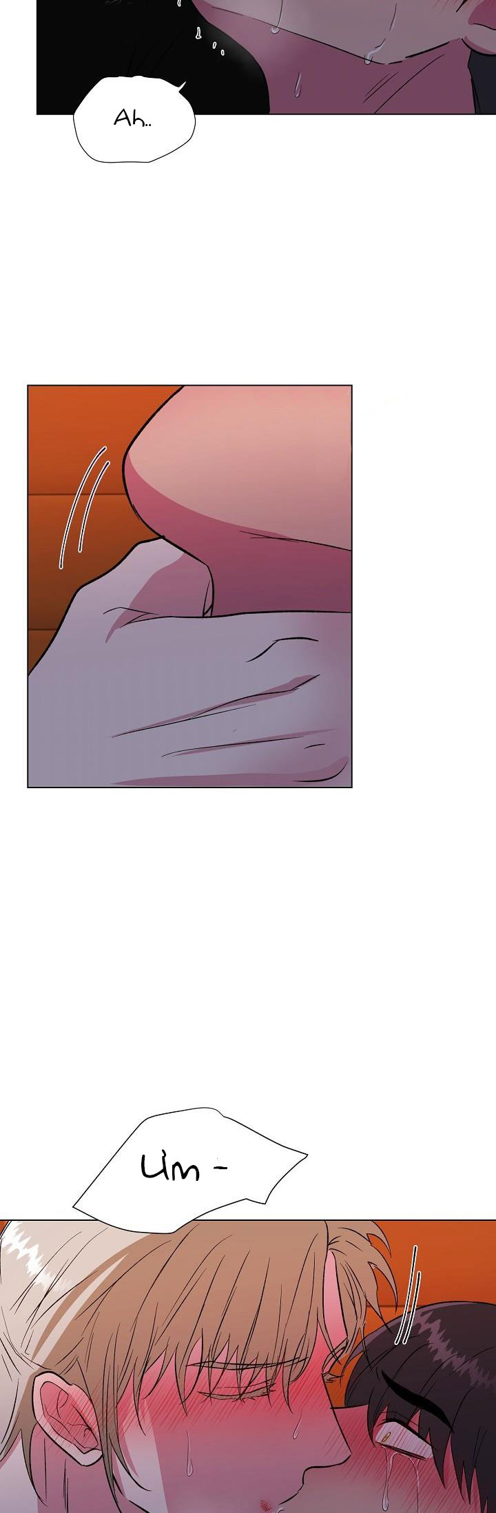 dưới đôi cánh ấy chapter 28.1 17