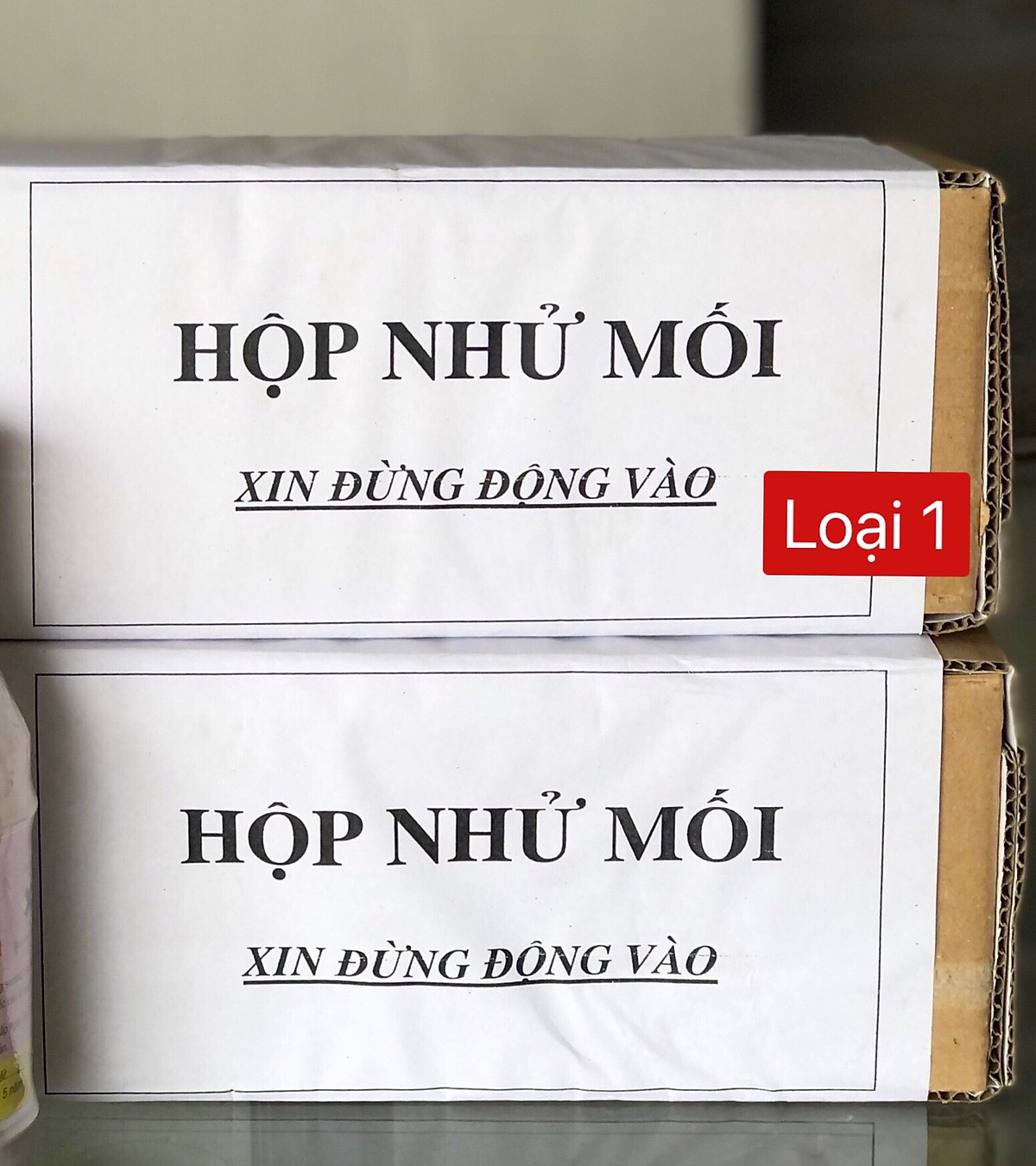 Combo DIỆT MỐI tại nhà hiệu quả