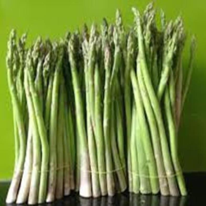 Cây giống Măng Tây xanh cây giống chuẩn F1