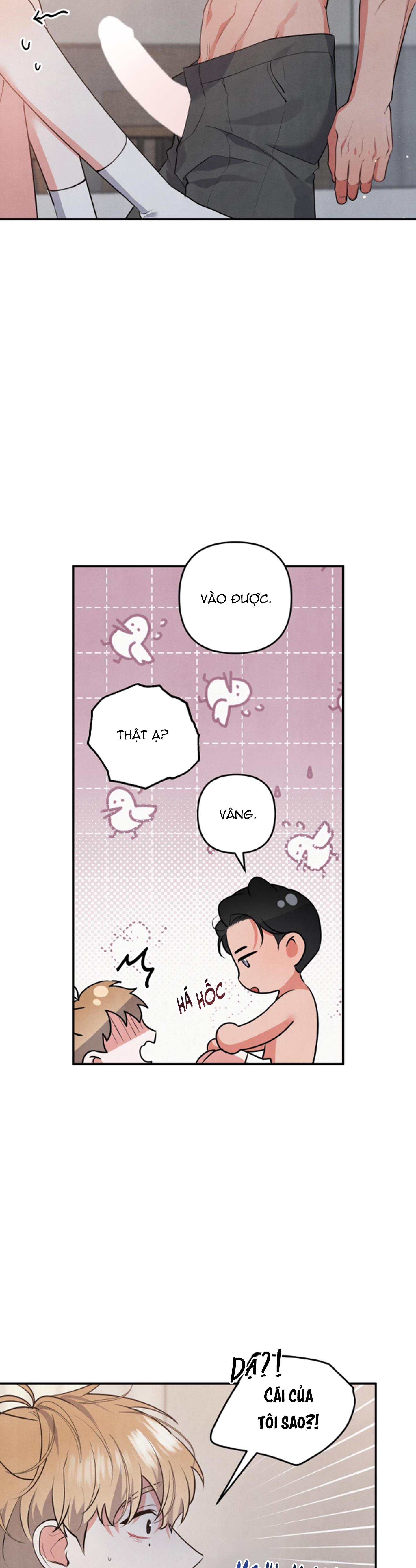 mối quan hệ ngu ngốc chapter 48 10