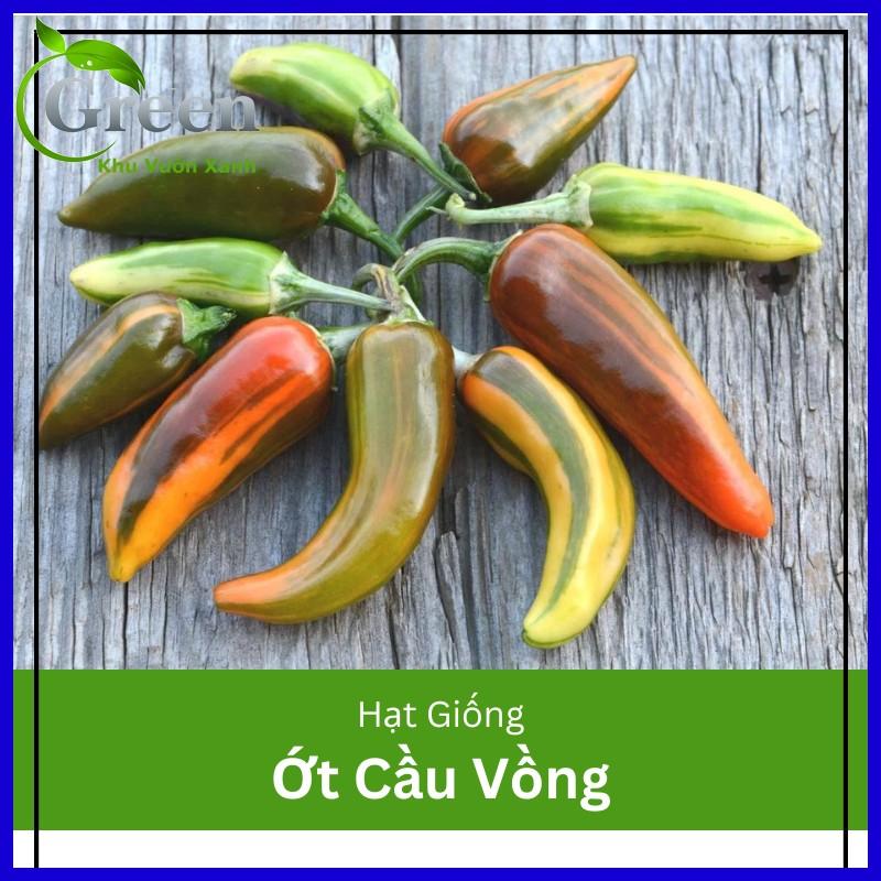 Hạt giống ớt cầu vồng Châu Phi - gói 5 hạt