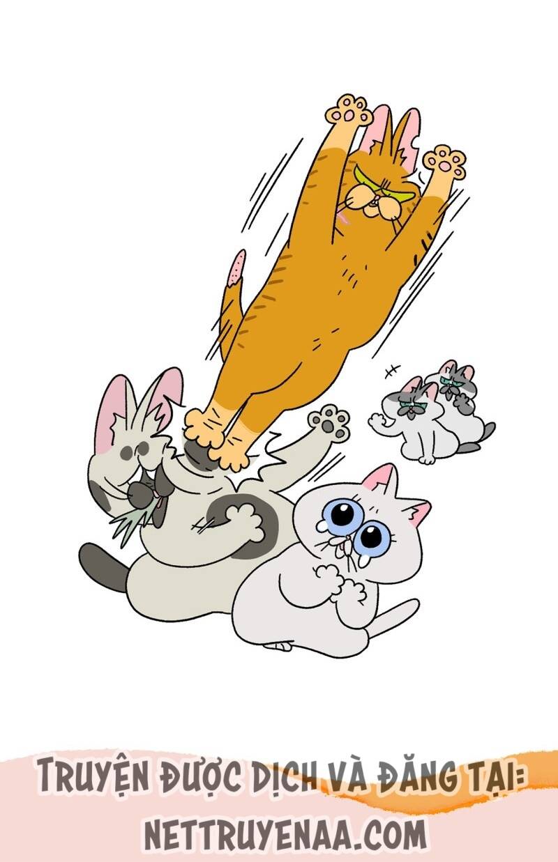 a mãn và mạch trà chapter 18 7