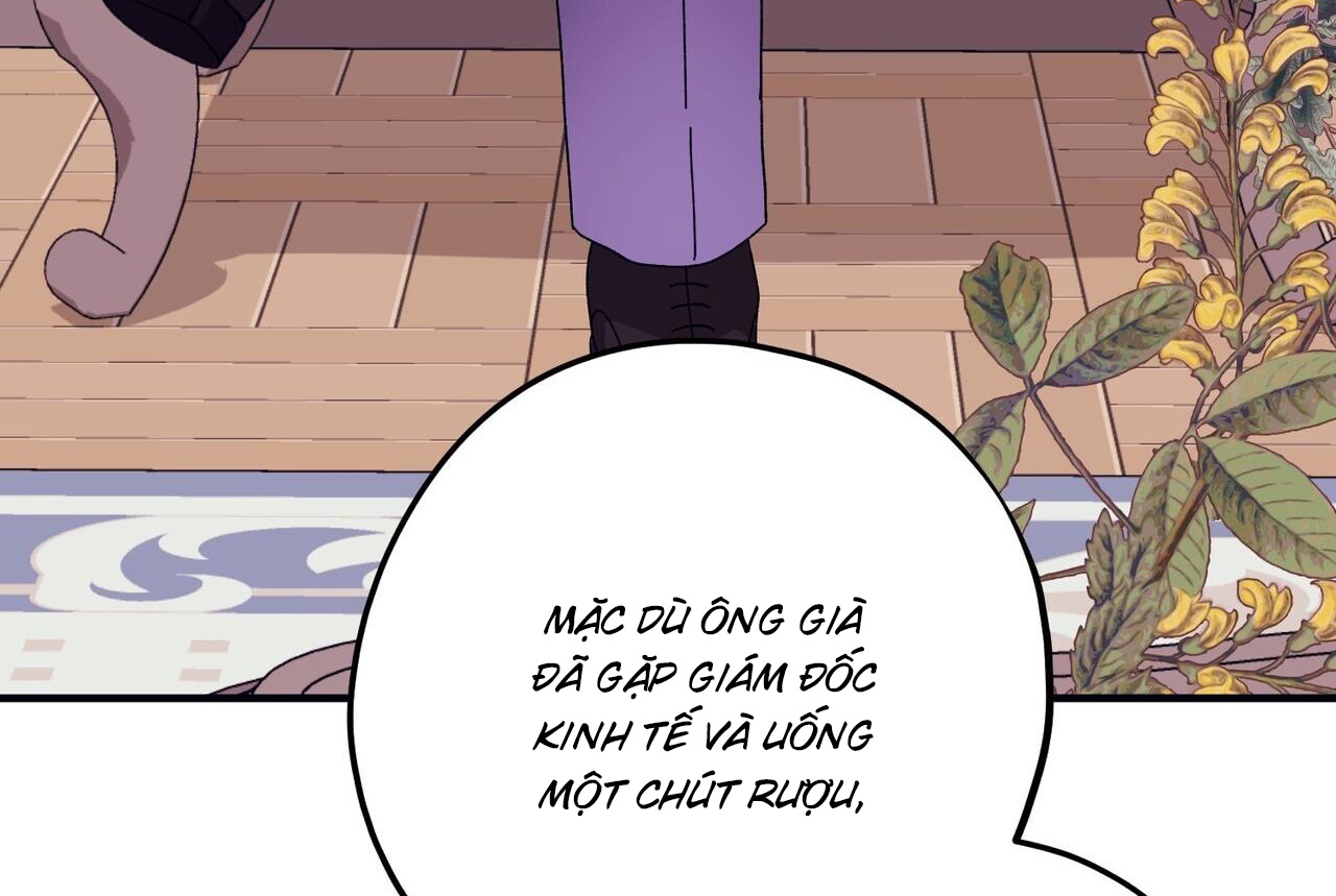 chàng dâu nhà họ kang chapter 43 153