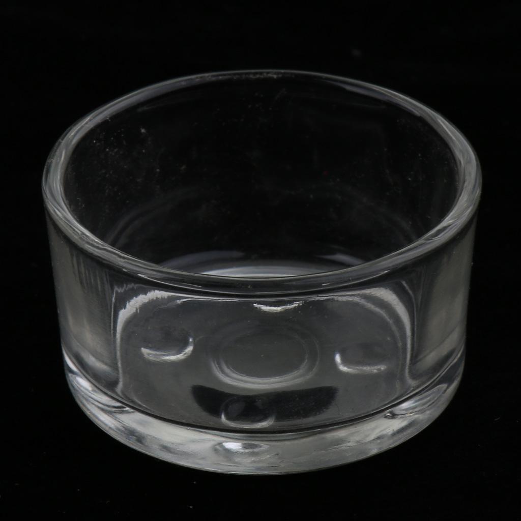 Mini Reptile Acrylic Terrarium Full View Visually Reptile Habitat Box
