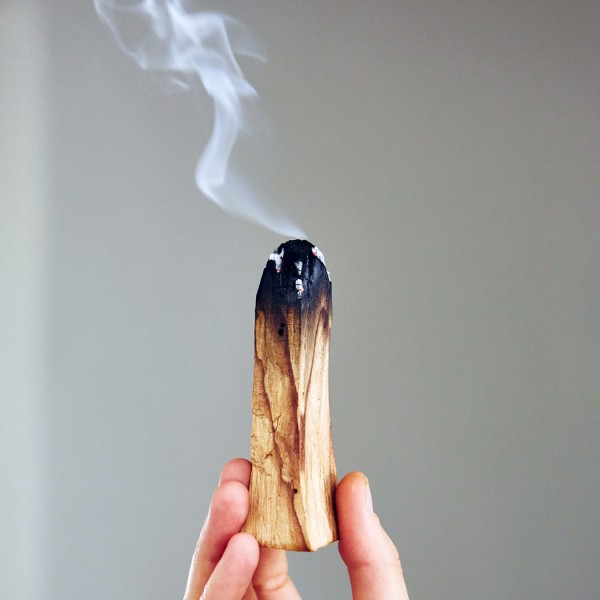 Thanh gỗ Thánh palo santo xông nhà thơm