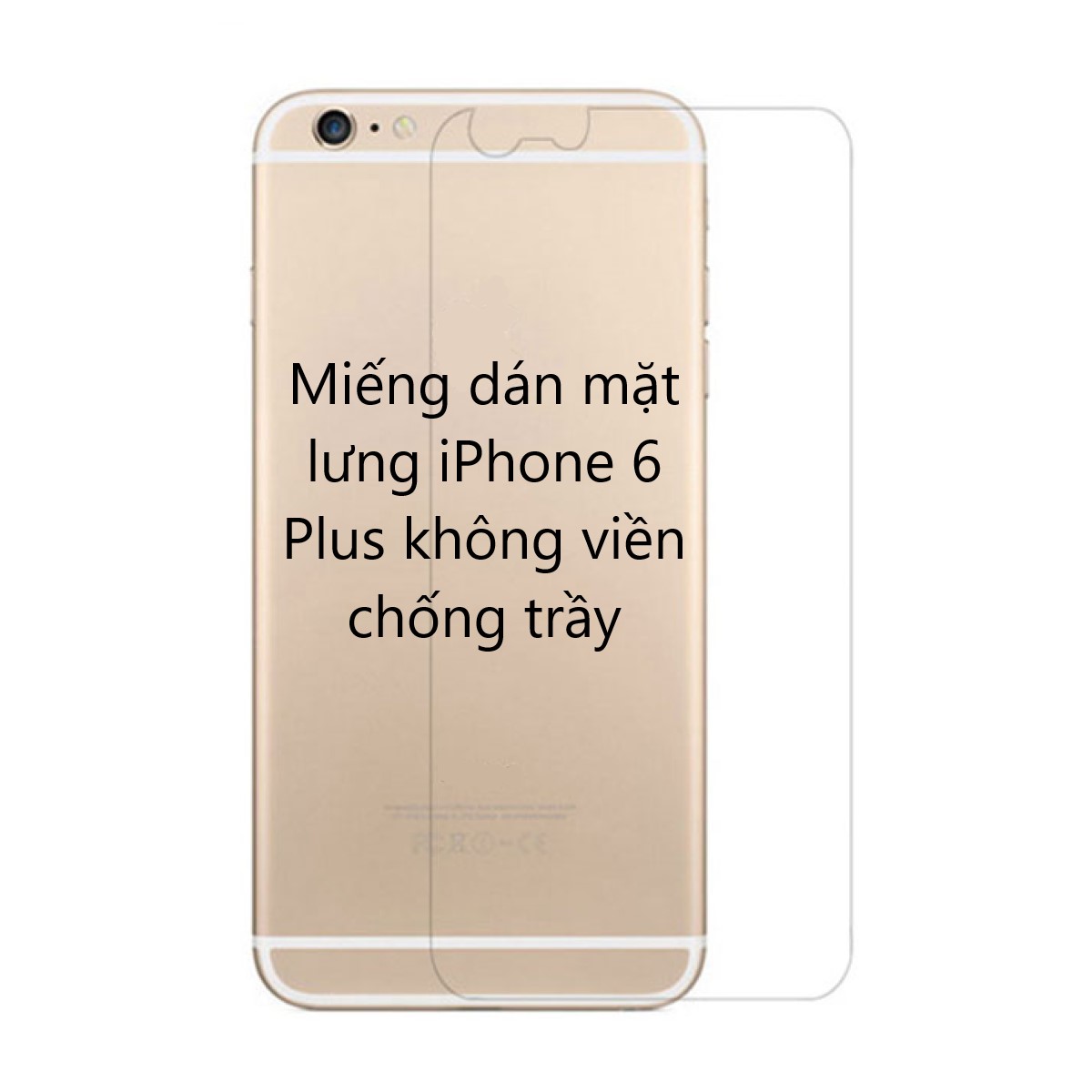 Miếng dán lưng cho iPhone 6 7 X 11 12 13 14 Pro Max Plus Mini chống trầy