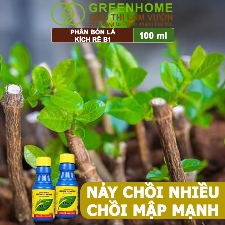 Phân Bón Kích Rễ, Greenhome, B1, Chai 100ml, Tạo Mầm, Rễ Khoẻ, Sai Hoa, Phục Hồi Rễ Yếu, Lá Dày