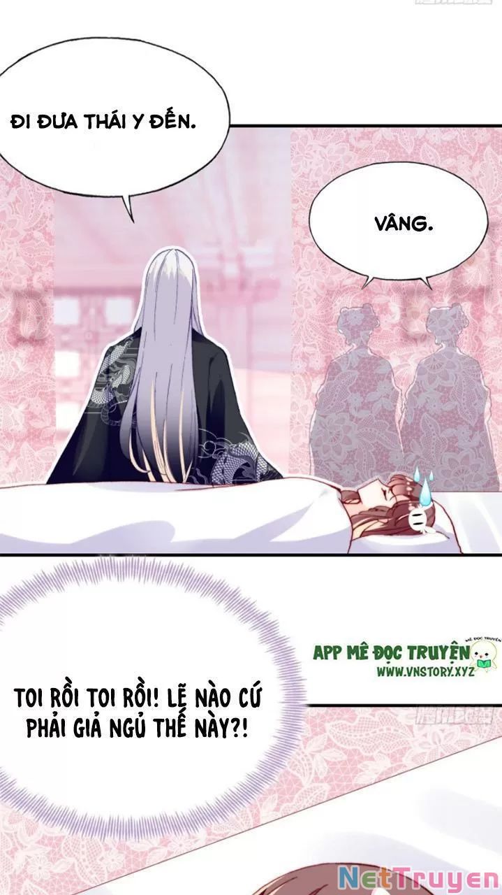 lại bị bệnh chiều chuộng quấn lấy chapter 27 29