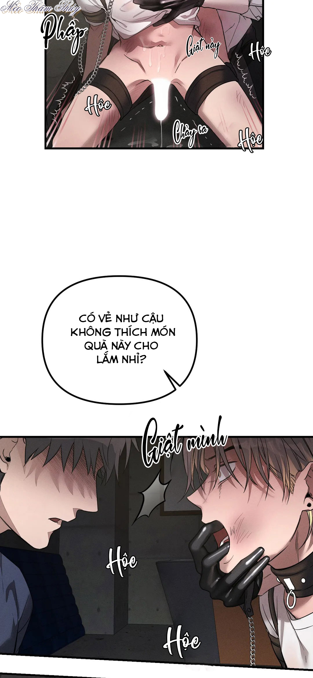 huấn luyện thú cưng chapter 3 7