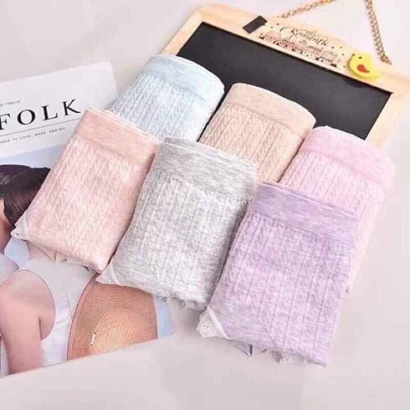5 quần lót nữ chất co giãn 4 chiều.
