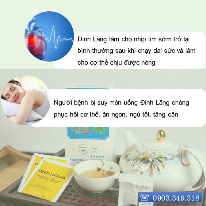 TRÀ ĐINH LĂNG HỘP – Delta D'Asia Phục hồi cơ thể, ăn ngon, ngủ tốt (25 túi x 1,5 g)