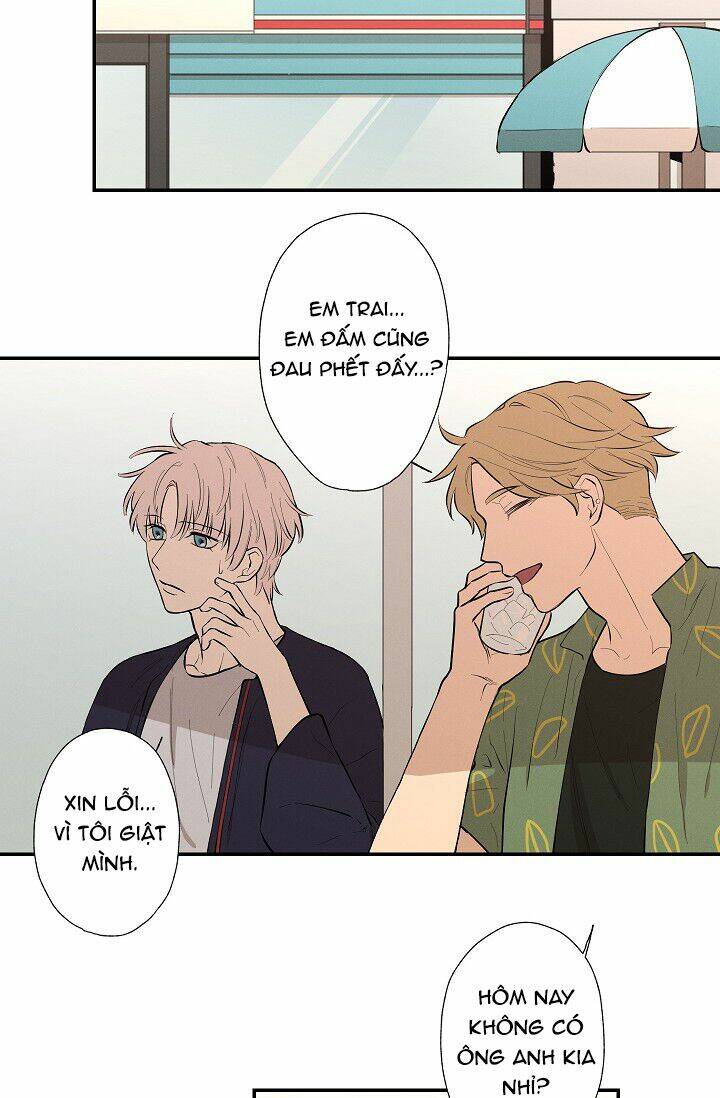 trốn tìm chapter 19 19