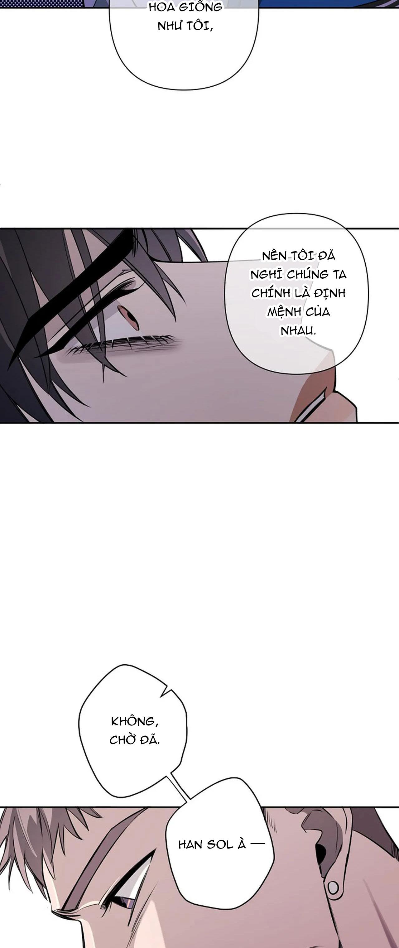 đêm dịu dàng chapter 39 44