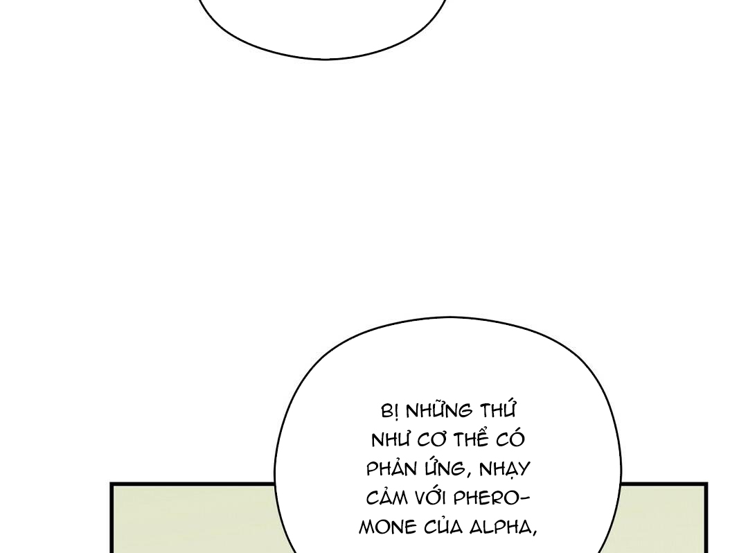 phức cảm tự ti của omega chapter 15 79