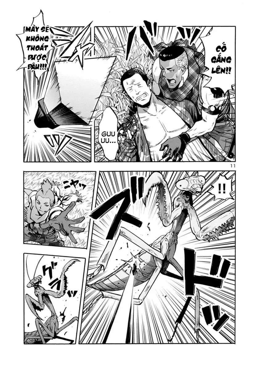 Siêu Đảo Côn Trùng chapter 11.1 11