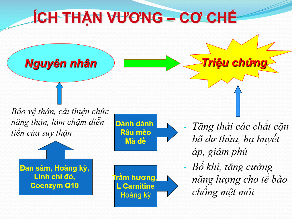 Thực phẩm bảo vệ sức khỏe Viên nén Ích Thận Vương bảo vệ thận, giảm biến chứng suy thận (Tặng mũ trùm đầu chống thấm nước khi tắm)