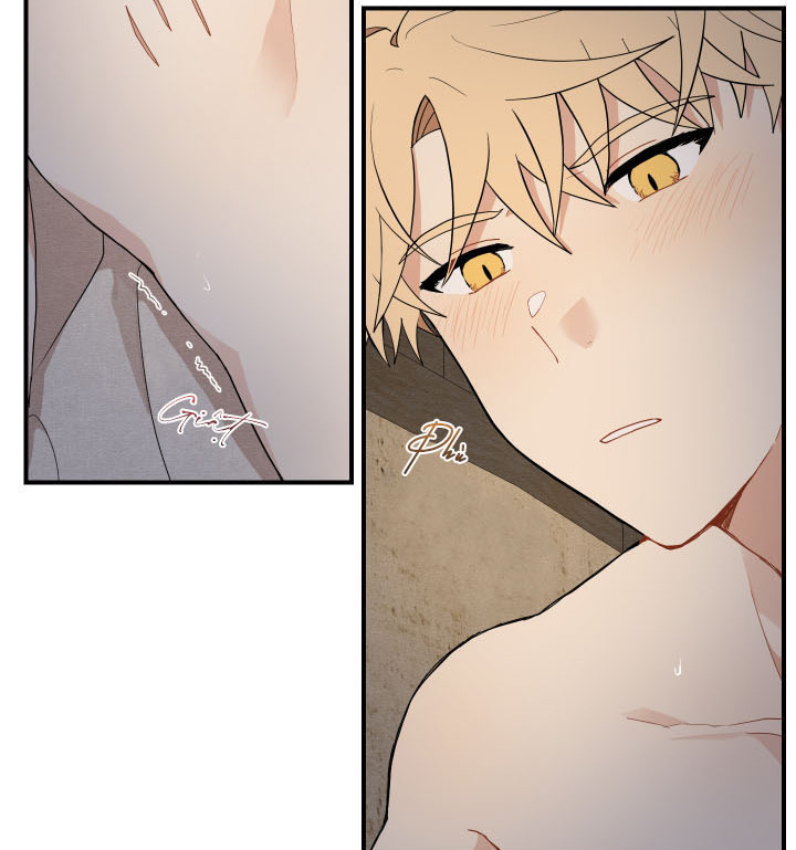 đường hoa liên kiều rơi chapter 16 22