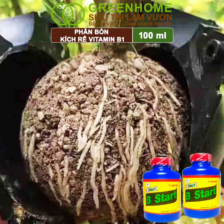 Phân Bón Kích Rễ, Greenhome, B1, Chai 100ml, Tạo Mầm, Rễ Khoẻ, Sai Hoa, Phục Hồi Rễ Yếu, Lá Dày