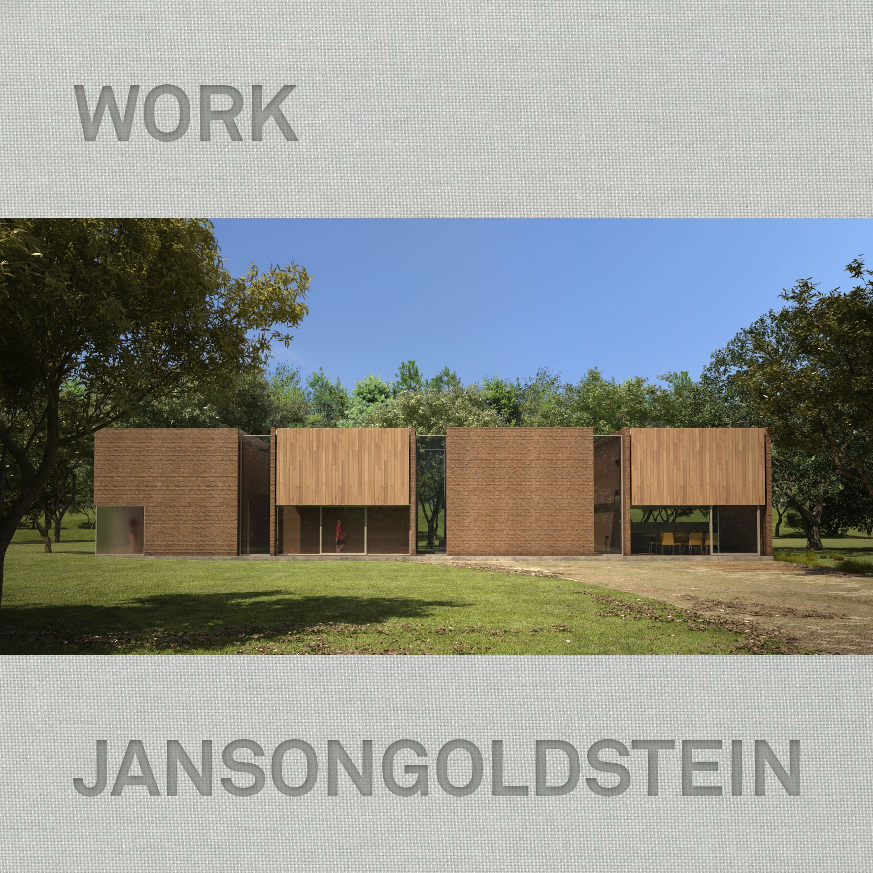 Janson Goldstein: Work