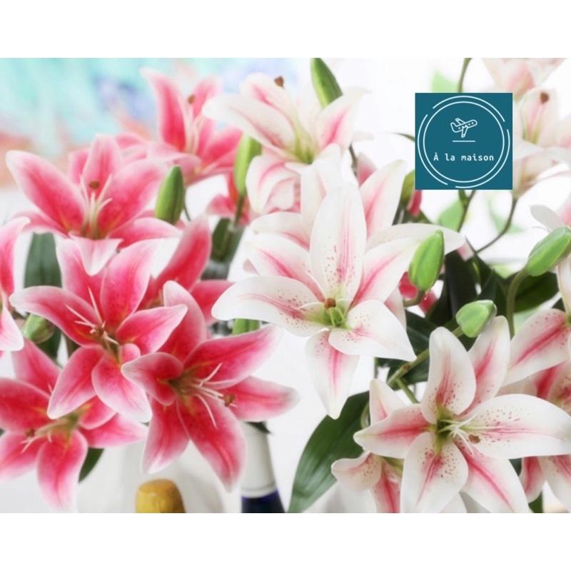 Cành hoa Lily 62cm đẹp sang trọng, hoa decor trang trí, hoa lụa cao cấp