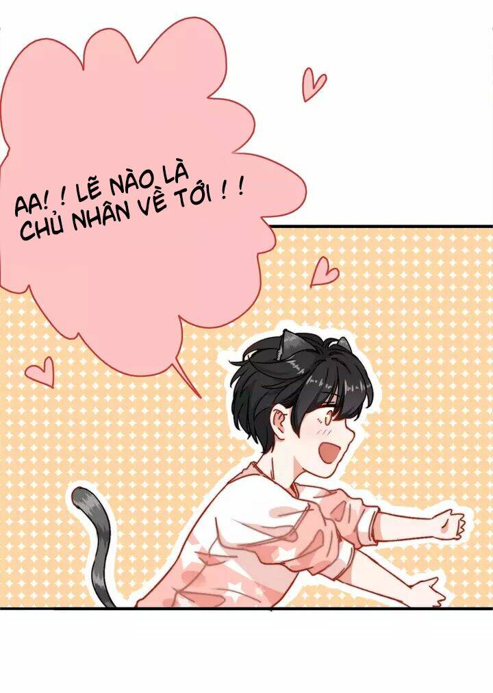 thập quang mật ngữ chapter 13 8