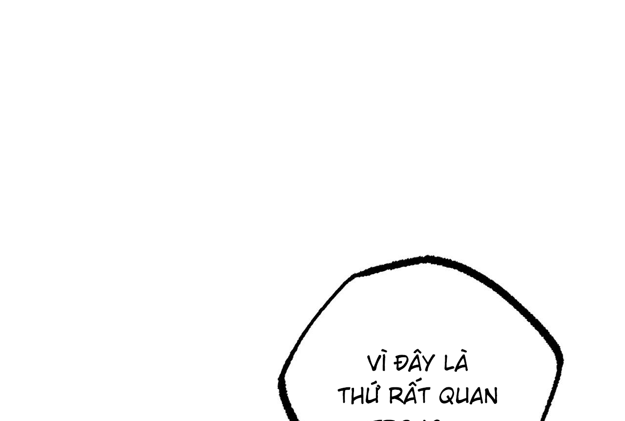 những chú thỏ của hapypy chapter 57 183