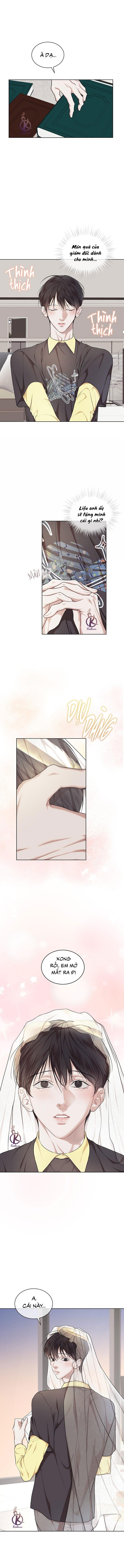 hình thái khởi sinh chapter 80 5