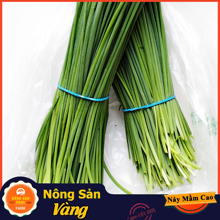 Hạt giống Rau Hẹ Ta ( Gói 1 Gram ) - Nông Sản Vàng