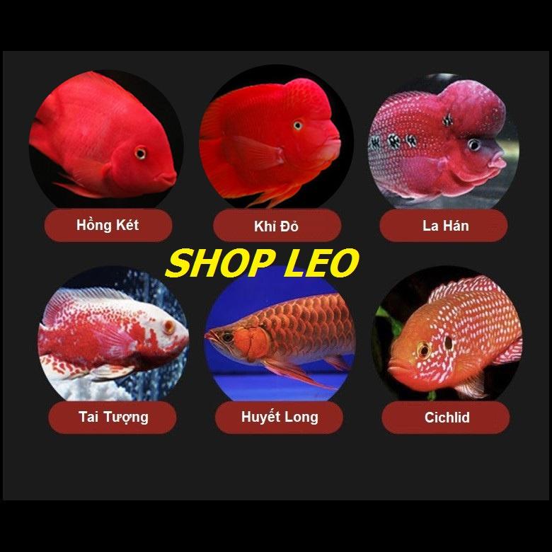 Thức ăn cho cá hồng két JONSANTY - cám cho cá La Hán - cá tai tượng - Phụ kiện cá cảnh -shopleo