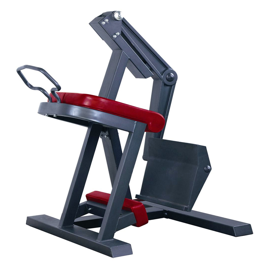 Máy tập cơ mông/cơ đùi sau Gym TigerSport TGP-480