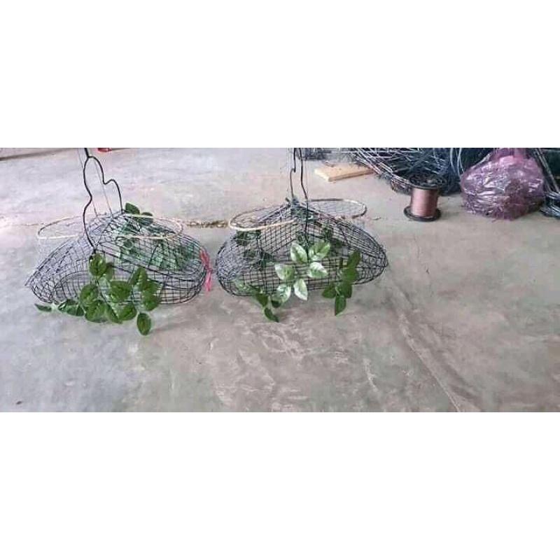 Lồng bẫy chim chào mào hàng siêu nhạy giá cực rẻ