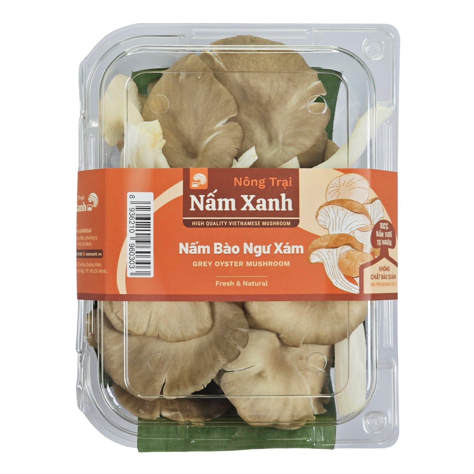 Nấm Bào Ngư Xám Tươi - Nấm Xanh