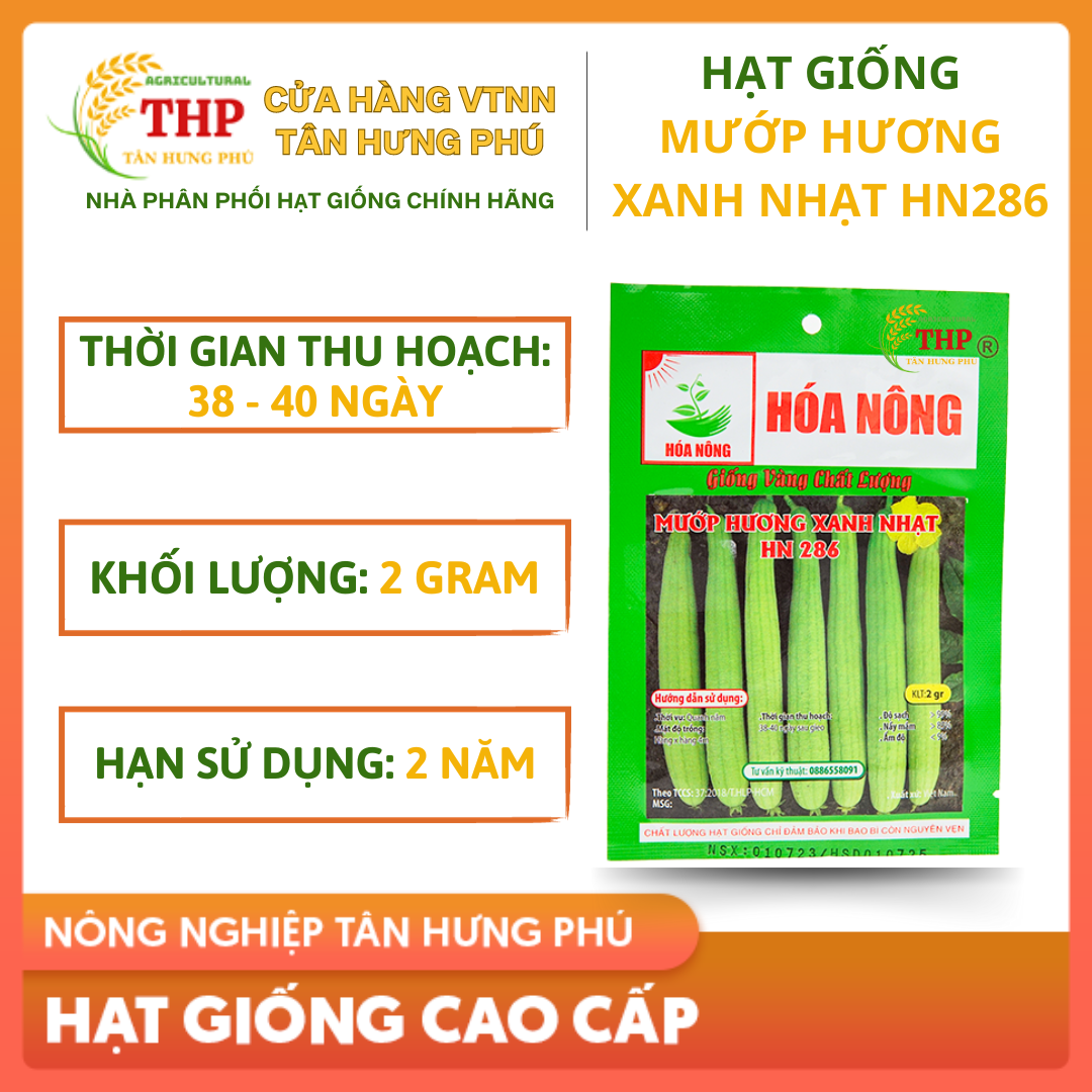 Hạt giống Mướp Hương Xanh Nhạt HN286 | Hạt Giống | gói 2gr