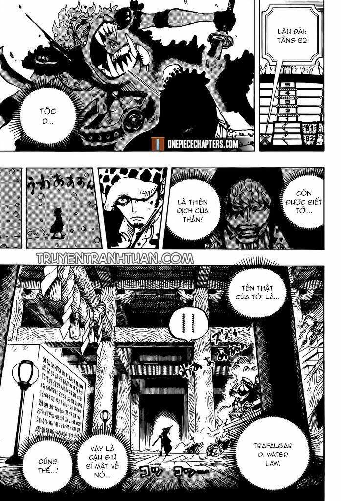 đảo hải tặc - one piece chapter 996 11