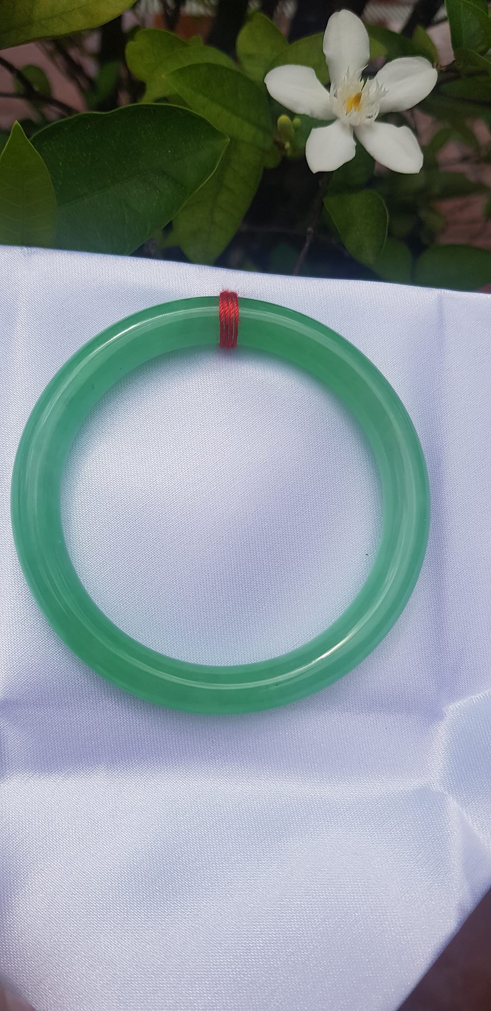 Vòng tay Nữ đá cẩm thạch Mới Lý Trong Size 54mm x cọng 7mm Vòng màu Xanh lá tươi 53kg - 62kg Nữ mệnh Mộc mệnh Hỏa Thủy đeo ạ