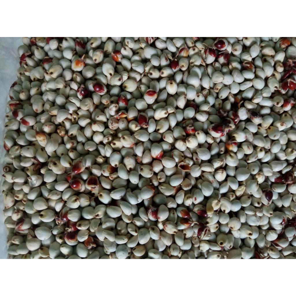 1kg cao lương trắng cho thú cưng, vẹt