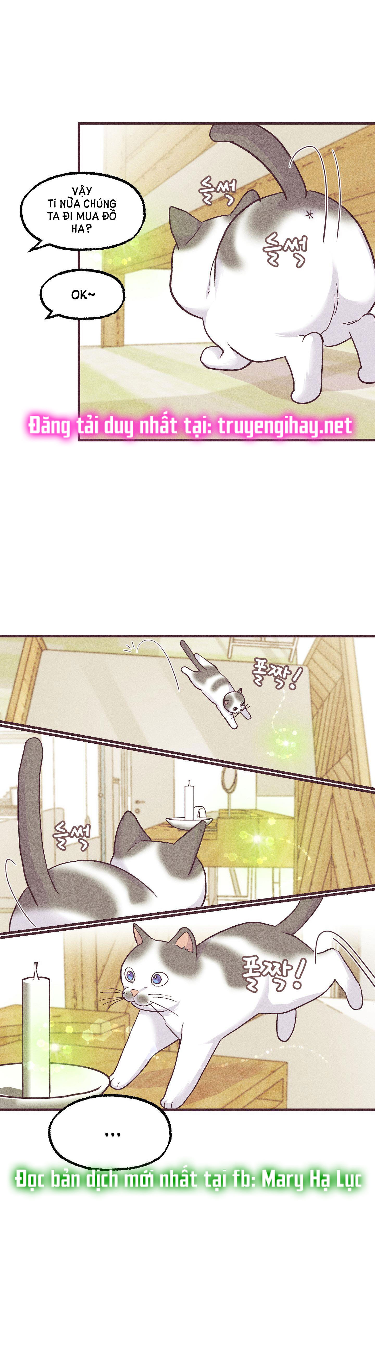 chạy đâu cho thoát chapter 50.2 10