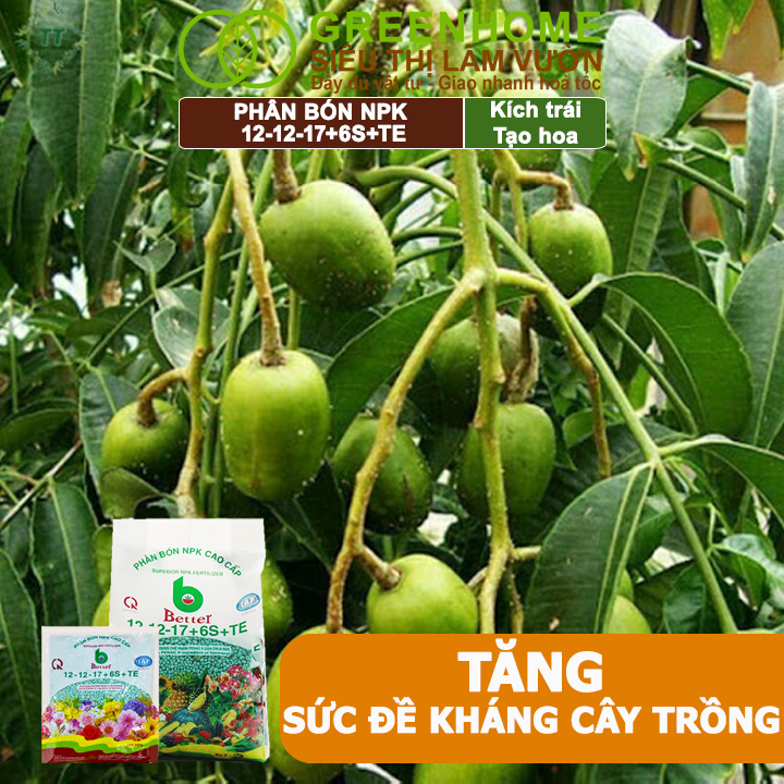 Phân bón NPK 12-12-17-6S+TE Greenhome, Better, Bao 1kg, Tăng Đậu Trái Cây Ăn Củ, Quả