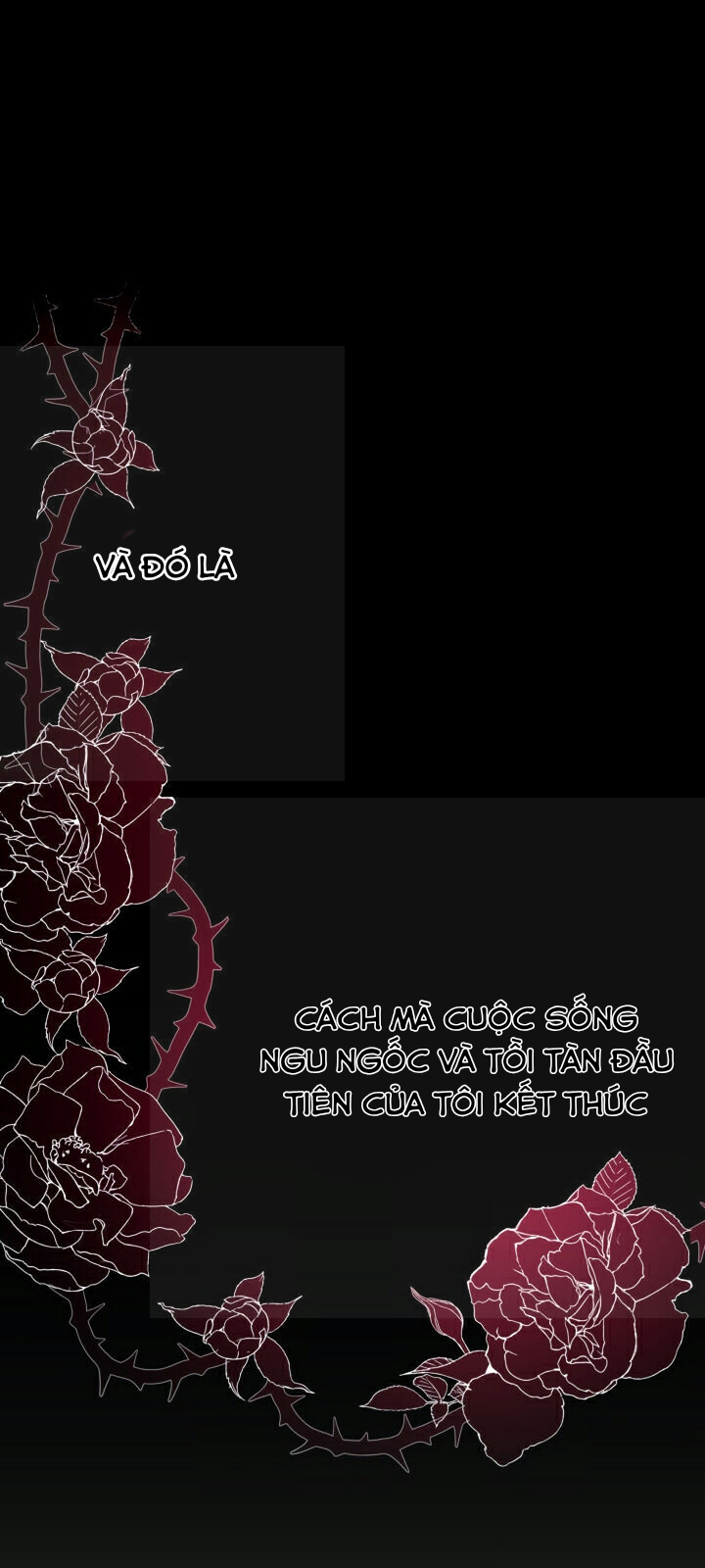 tiểu thư lạnh lùng chapter 6 66