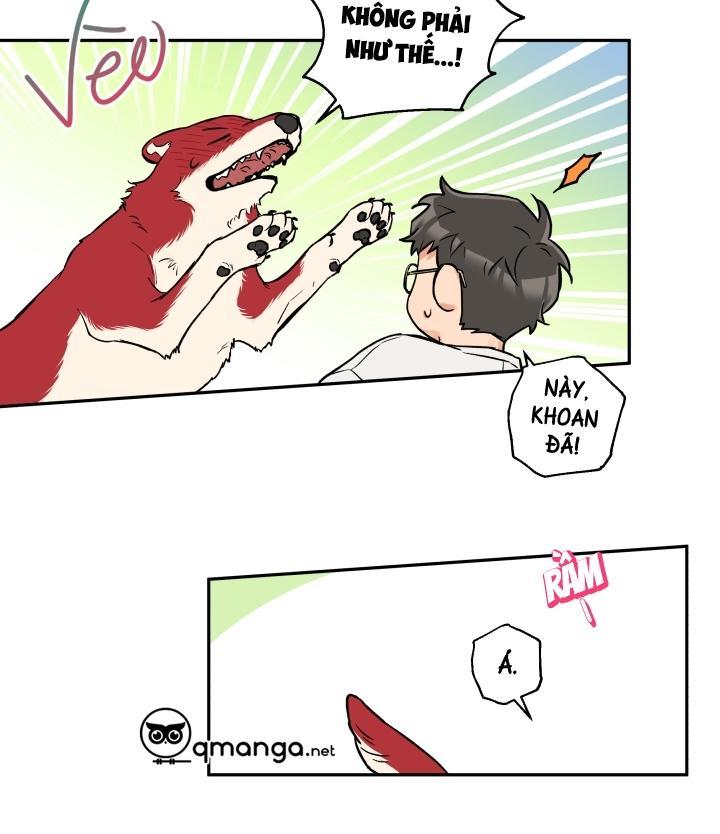 gâu gâu! chapter 19 34