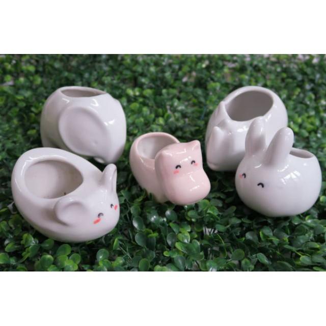Chậu sứ trồng sen đá hình thú, men ngọc dễ thương