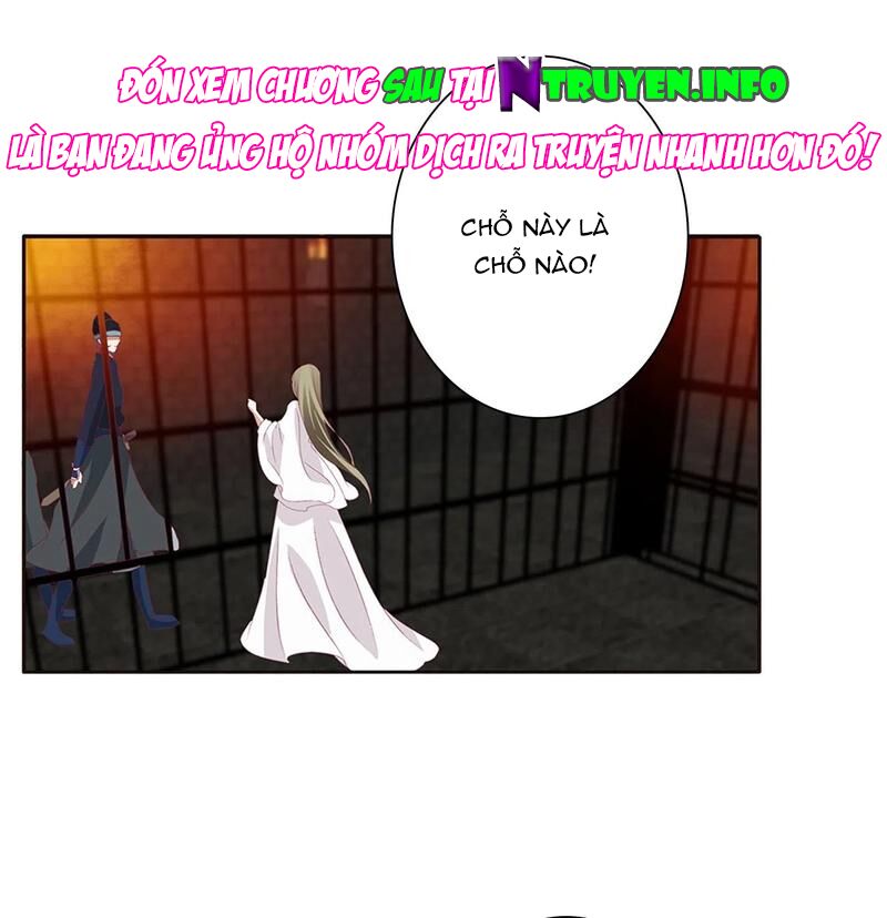 thông linh phi chapter 639 9