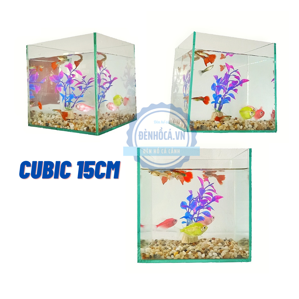 Bể cá mini CUBIC 15 - 20 - 25 cm dành cho nuôi cá cảnh hoặc thủy sinh