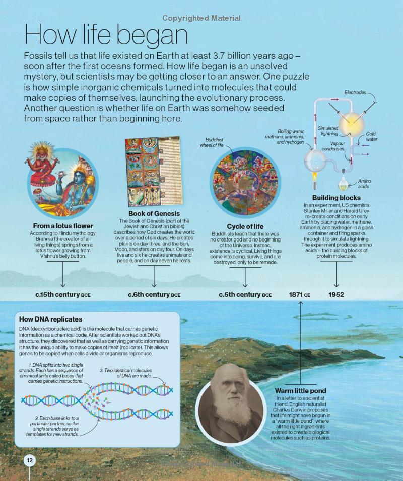 Sách ngoại văn: Timelines of Science - From Fossils To Quantum Physics