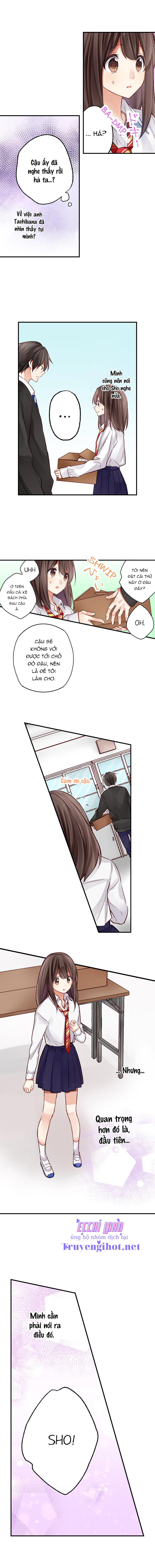 họ chắc chắn đã làm chuyện đó chapter 11.2 3